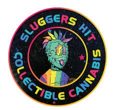 Sluggers HIT: Brand Image