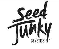 Seed Junky: Brand Image